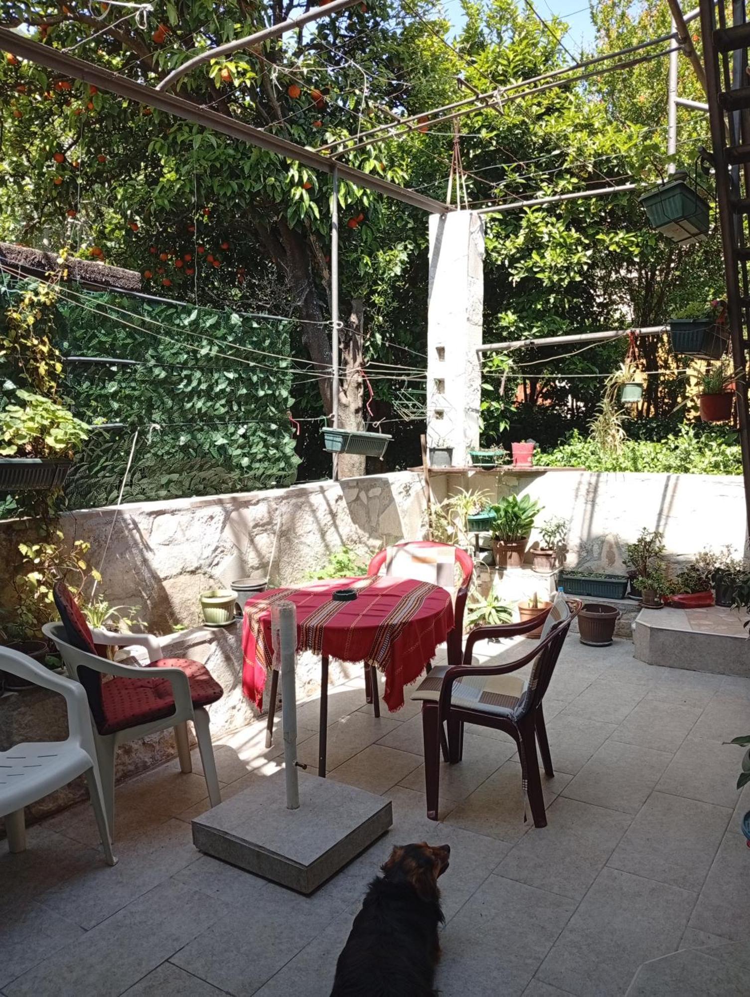 Apartment Radovic コトル エクステリア 写真